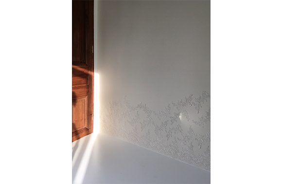 acestudio 鳥飼八幡宮店別館205 07