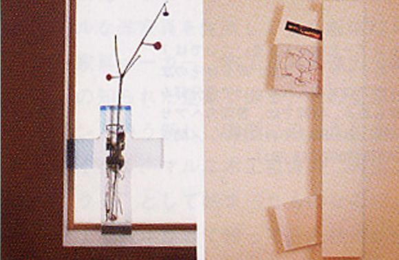 ギャラリー + tas3